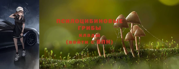 a pvp Алексеевка