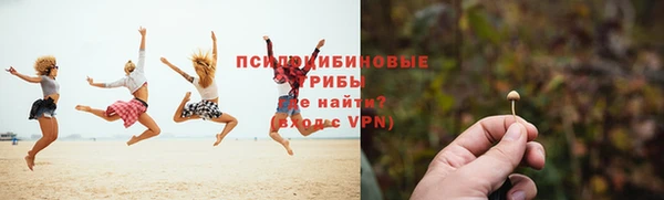 a pvp Алексеевка