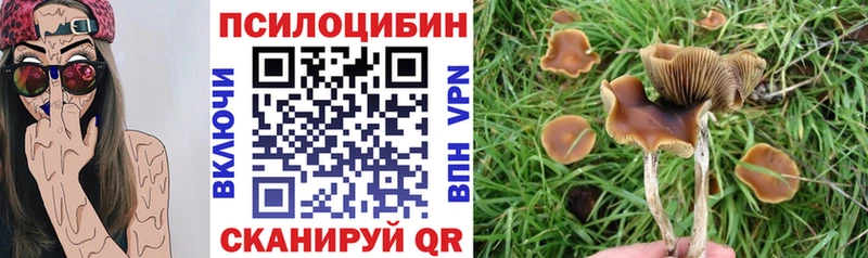 Псилоцибиновые грибы Cubensis  Луза 